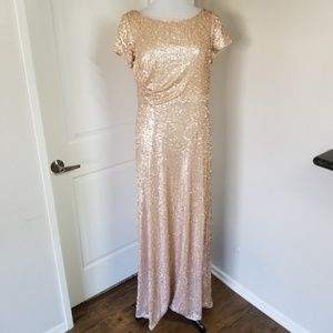 Adrianna Papell Blush Sequin Dress 14 (NWOT)